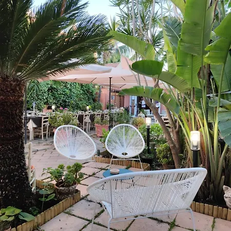 Hibiscus Comfort Stay-3